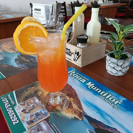 Hotel Roua Muntilor Nehoiu